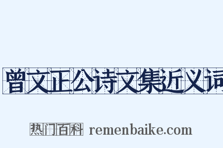 曾文正公诗文集近义词是什么意思的图片